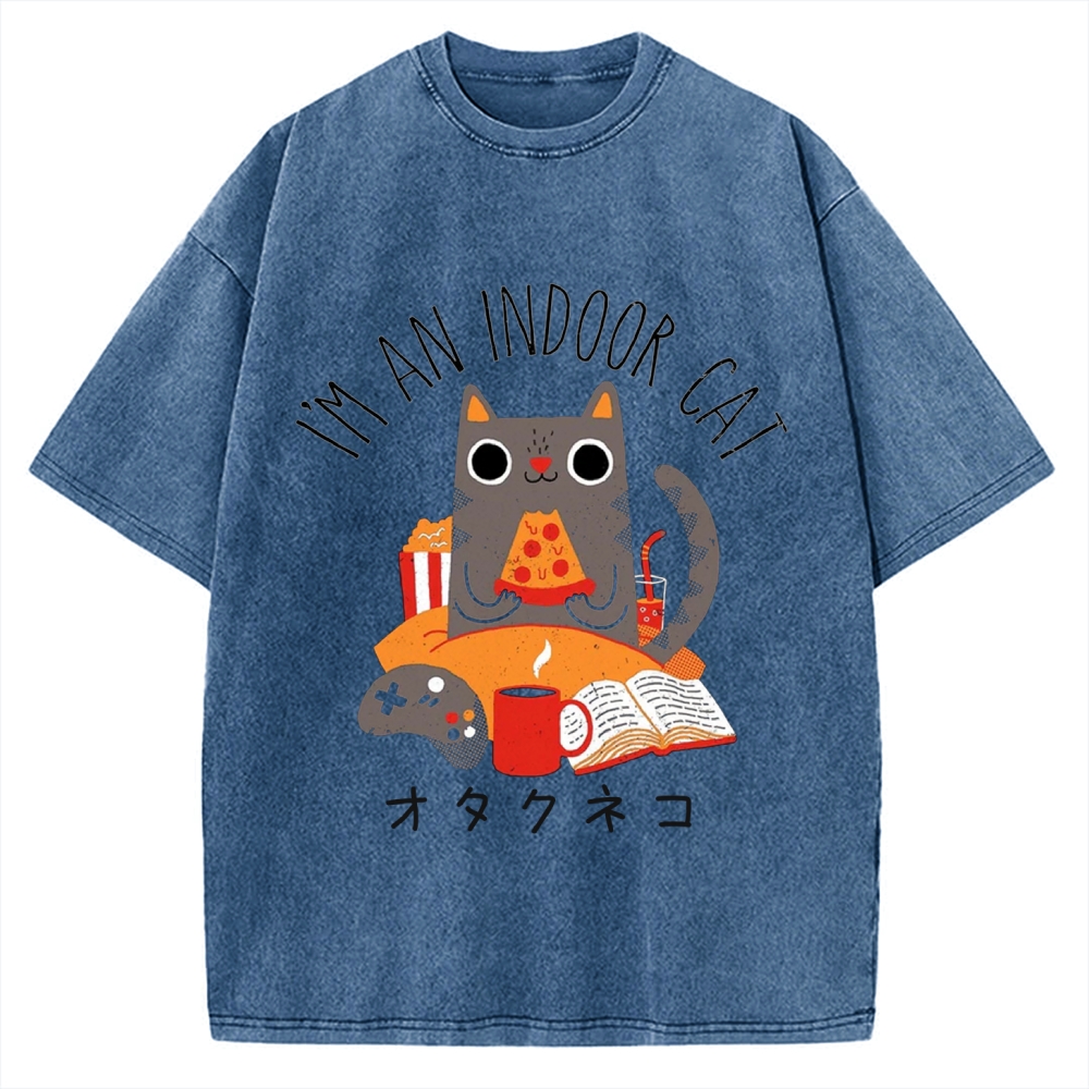 Indoor Cat Vintage Washed T-shirt