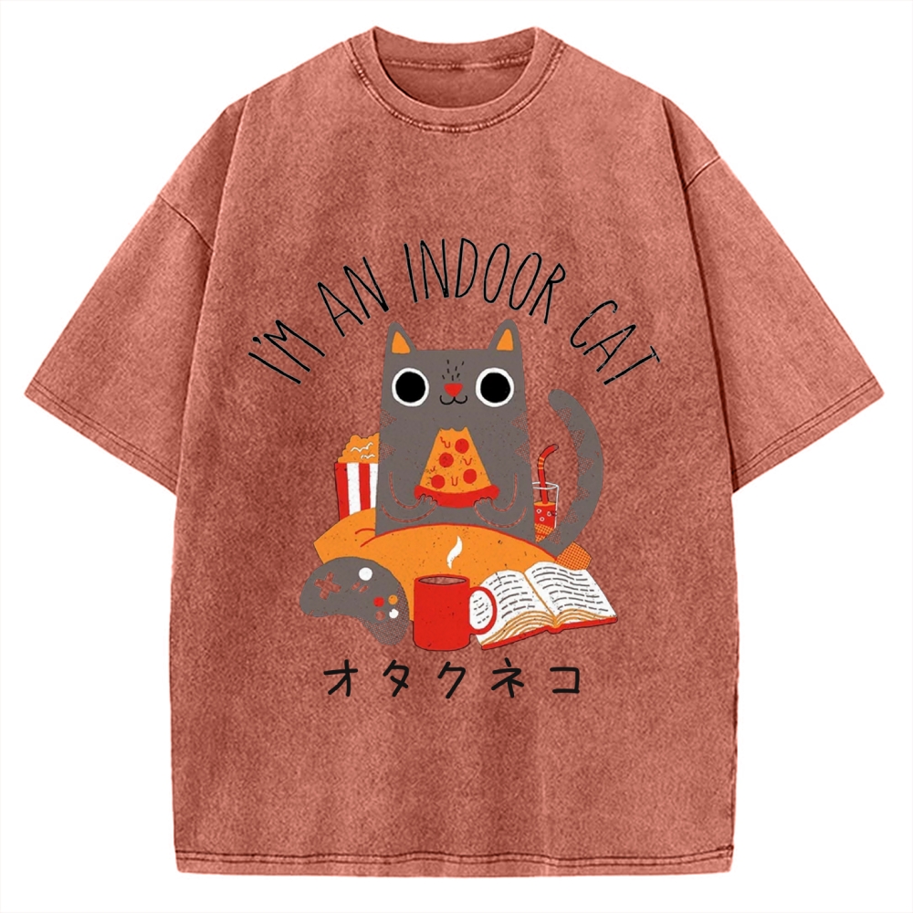 Indoor Cat Vintage Washed T-shirt