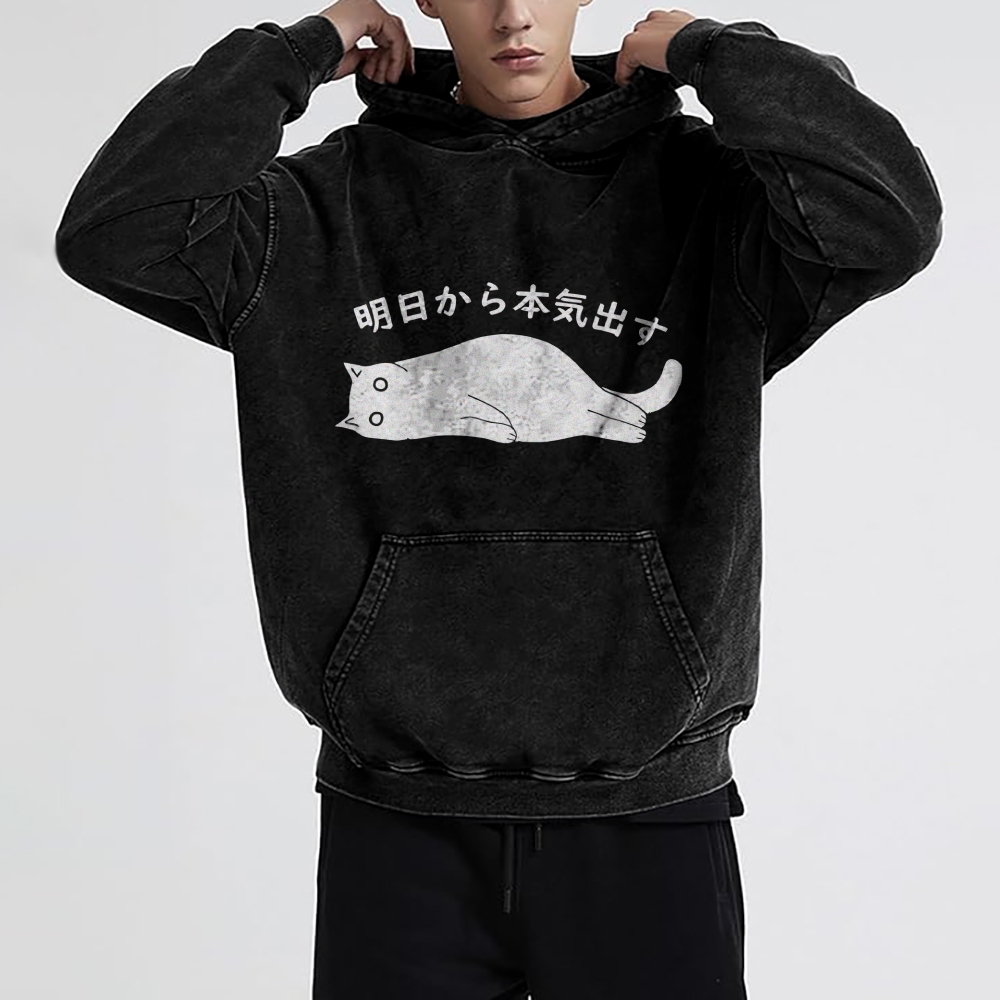 I'm Going To Get Serious Tomorrow Washed Hoodie