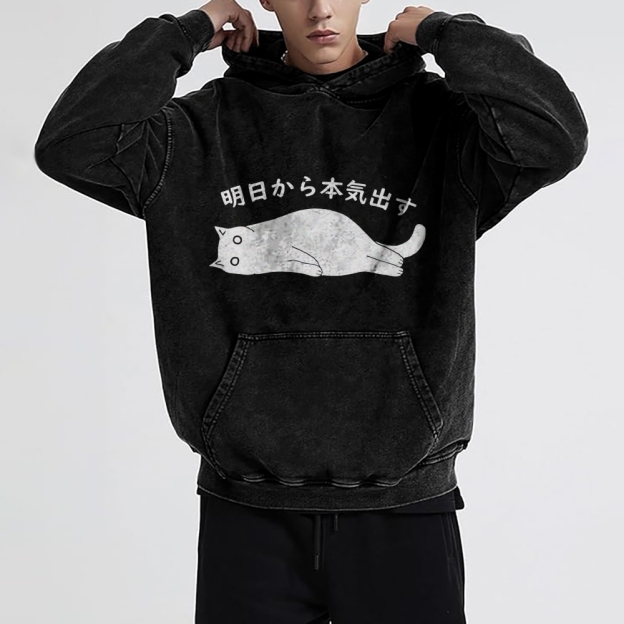 I'm Going To Get Serious Tomorrow Washed Hoodie