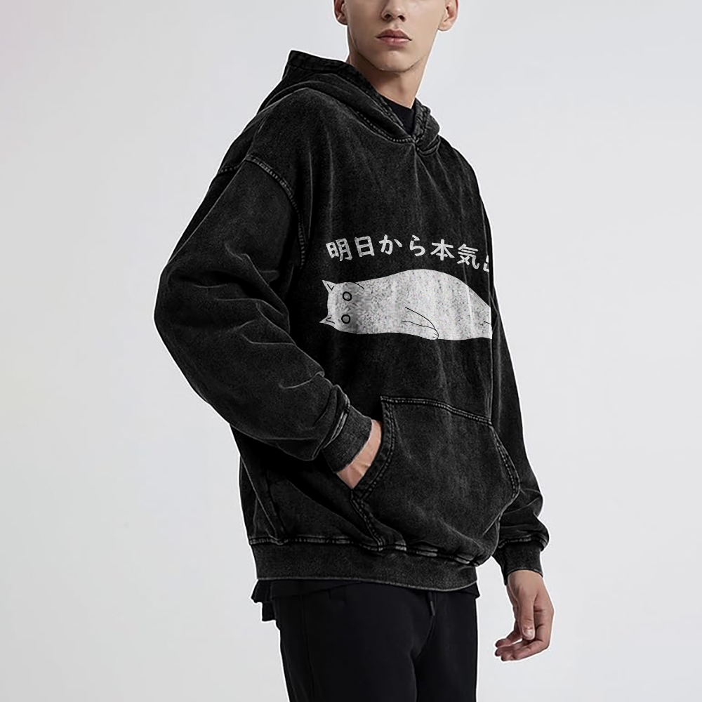 I'm Going To Get Serious Tomorrow Washed Hoodie