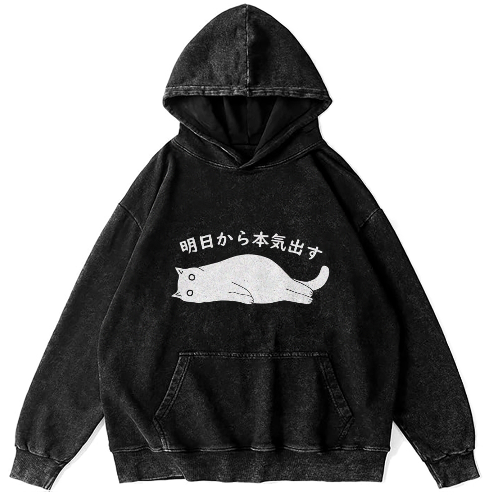 I'm Going To Get Serious Tomorrow Washed Hoodie