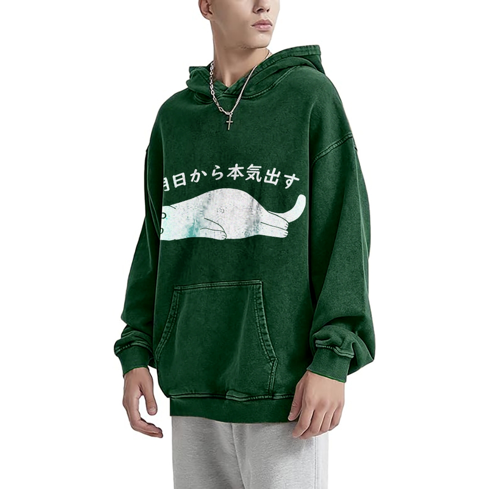 I'm Going To Get Serious Tomorrow Washed Hoodie