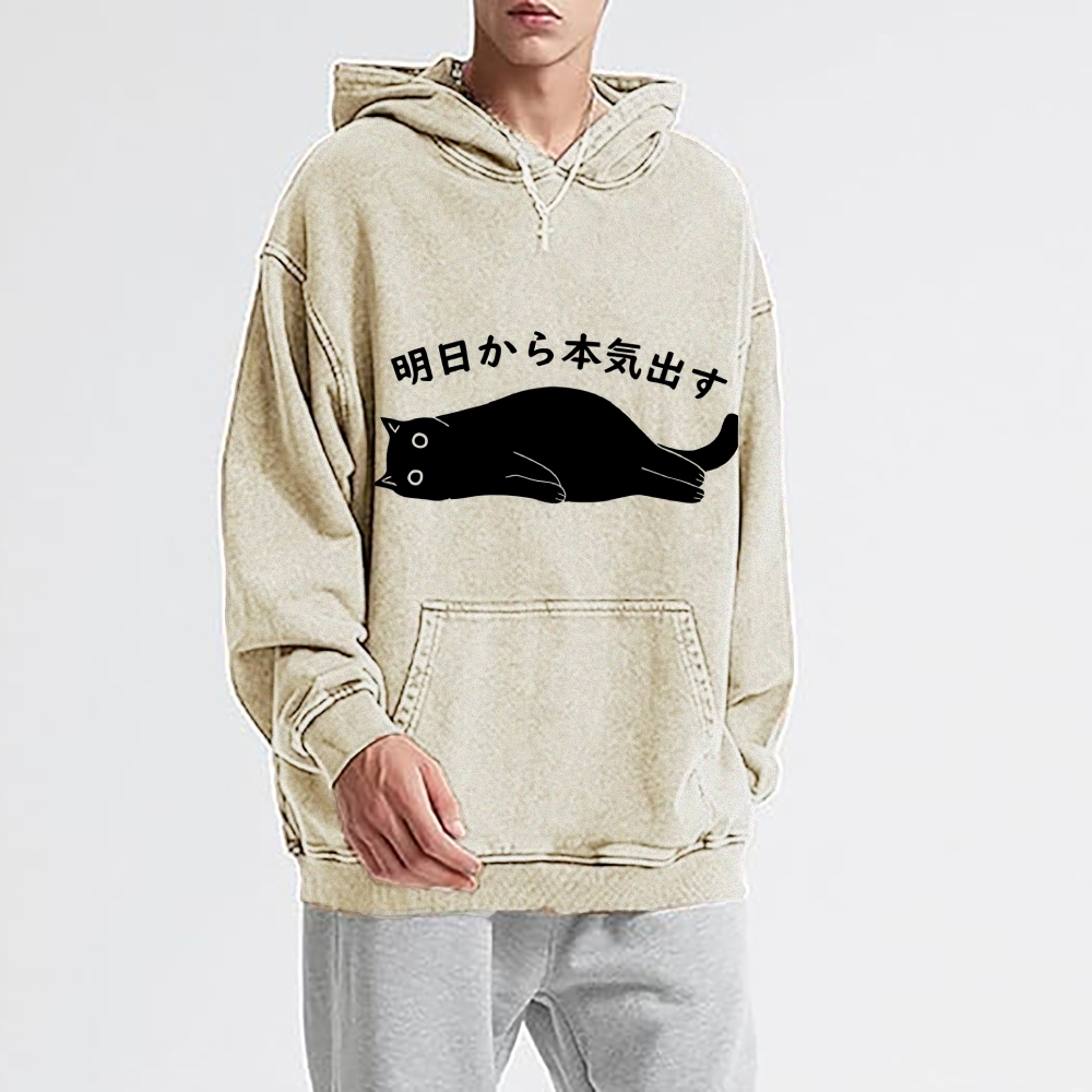 I'm Going To Get Serious Tomorrow Washed Hoodie