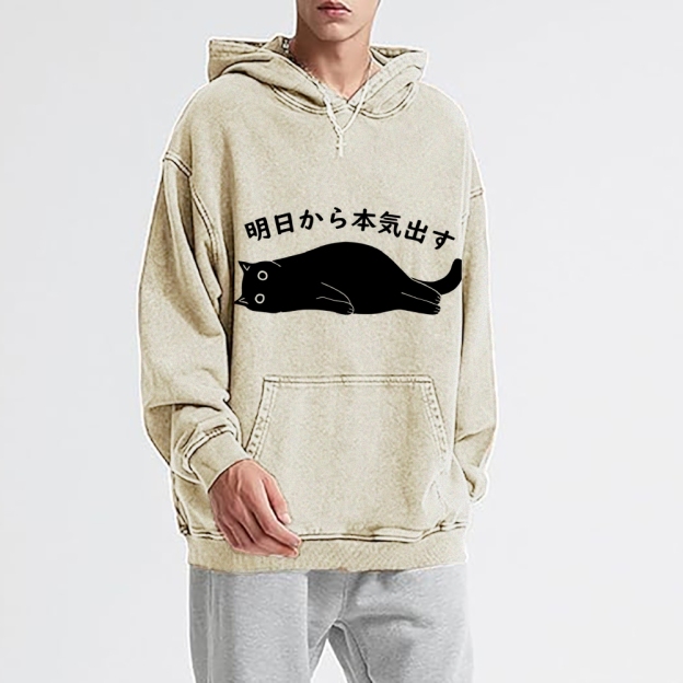 I'm Going To Get Serious Tomorrow Washed Hoodie