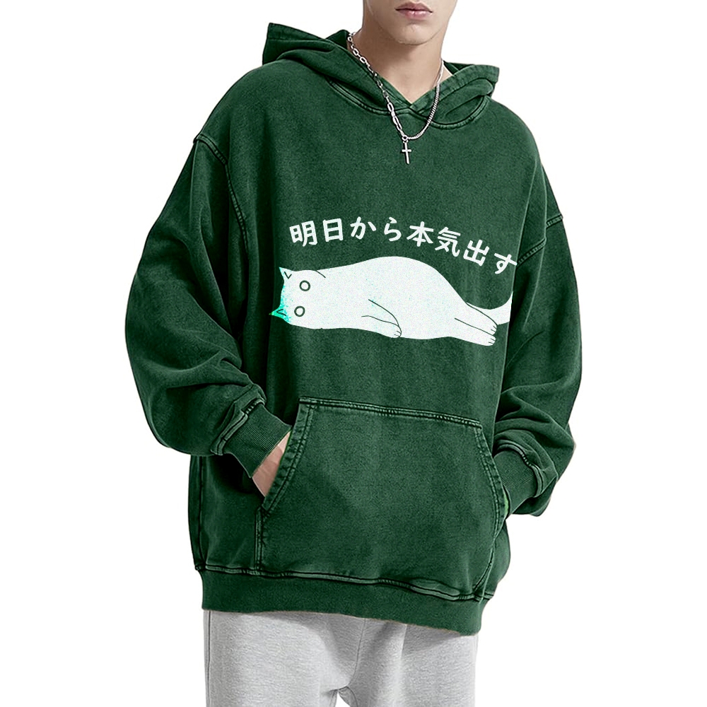 I'm Going To Get Serious Tomorrow Washed Hoodie