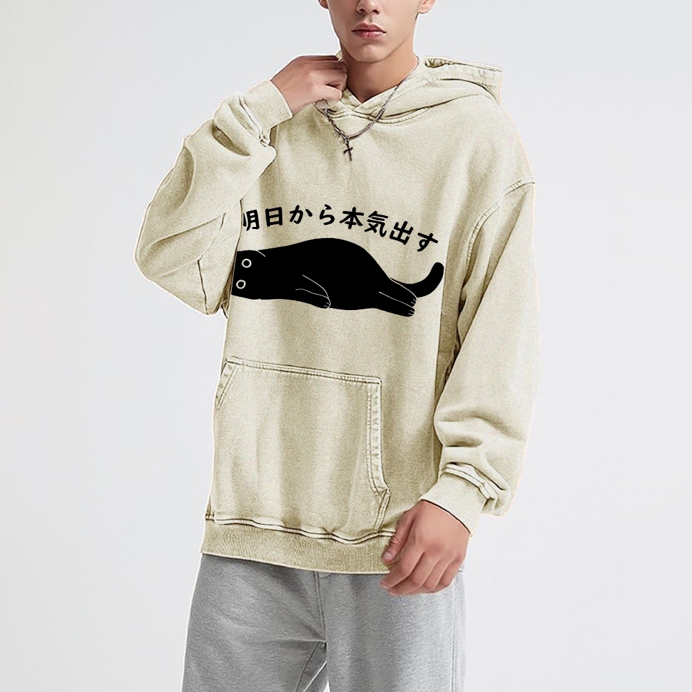 I'm Going To Get Serious Tomorrow Washed Hoodie