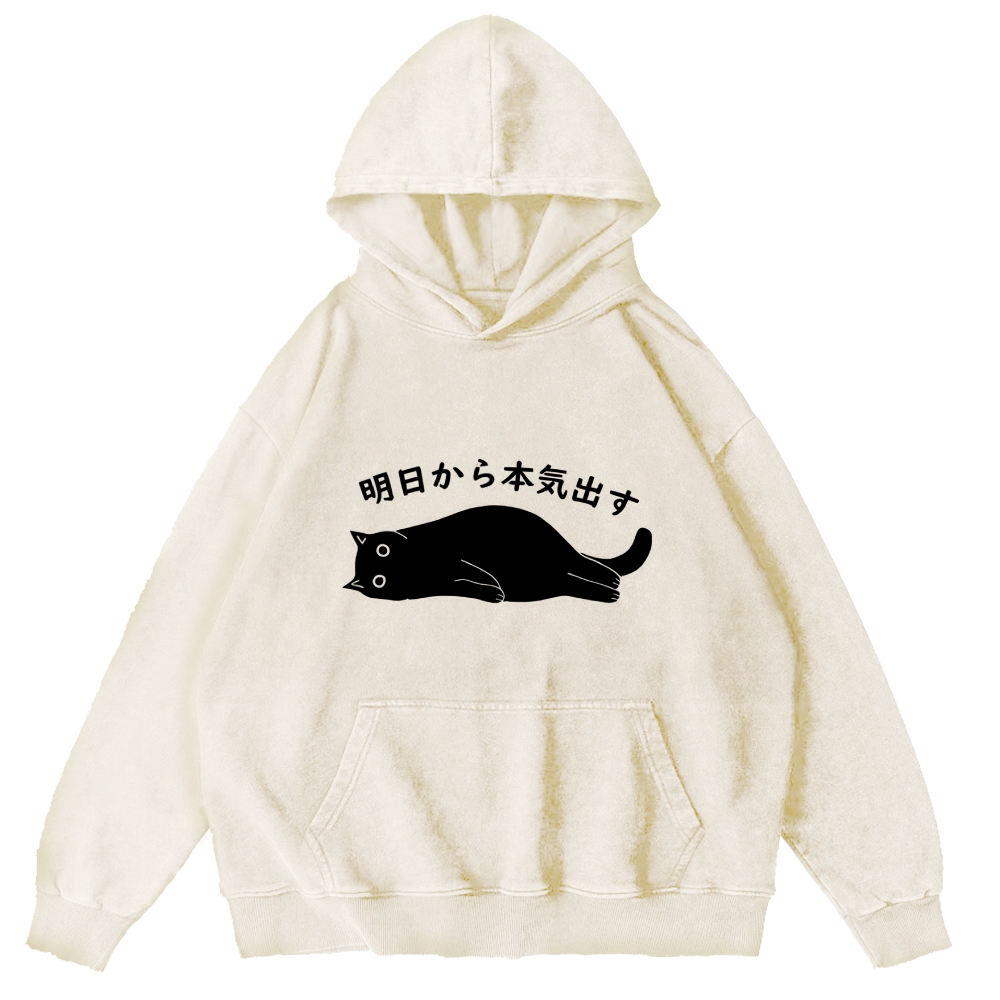 I'm Going To Get Serious Tomorrow Washed Hoodie