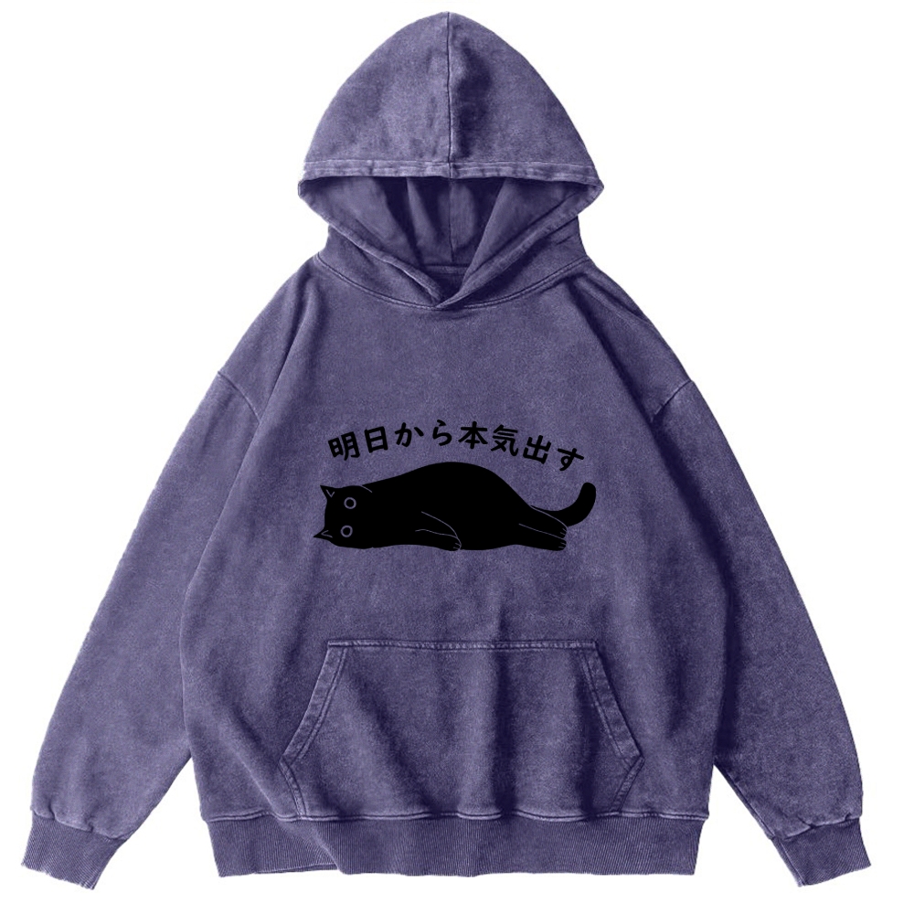 I'm Going To Get Serious Tomorrow Washed Hoodie