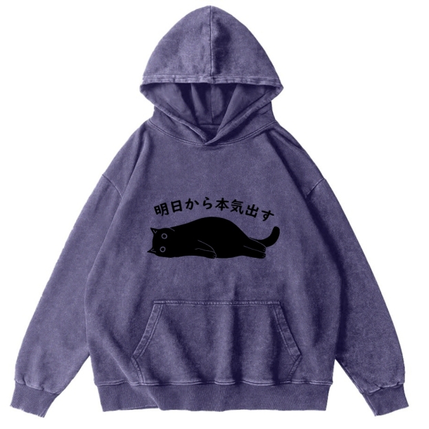 I'm Going To Get Serious Tomorrow Washed Hoodie