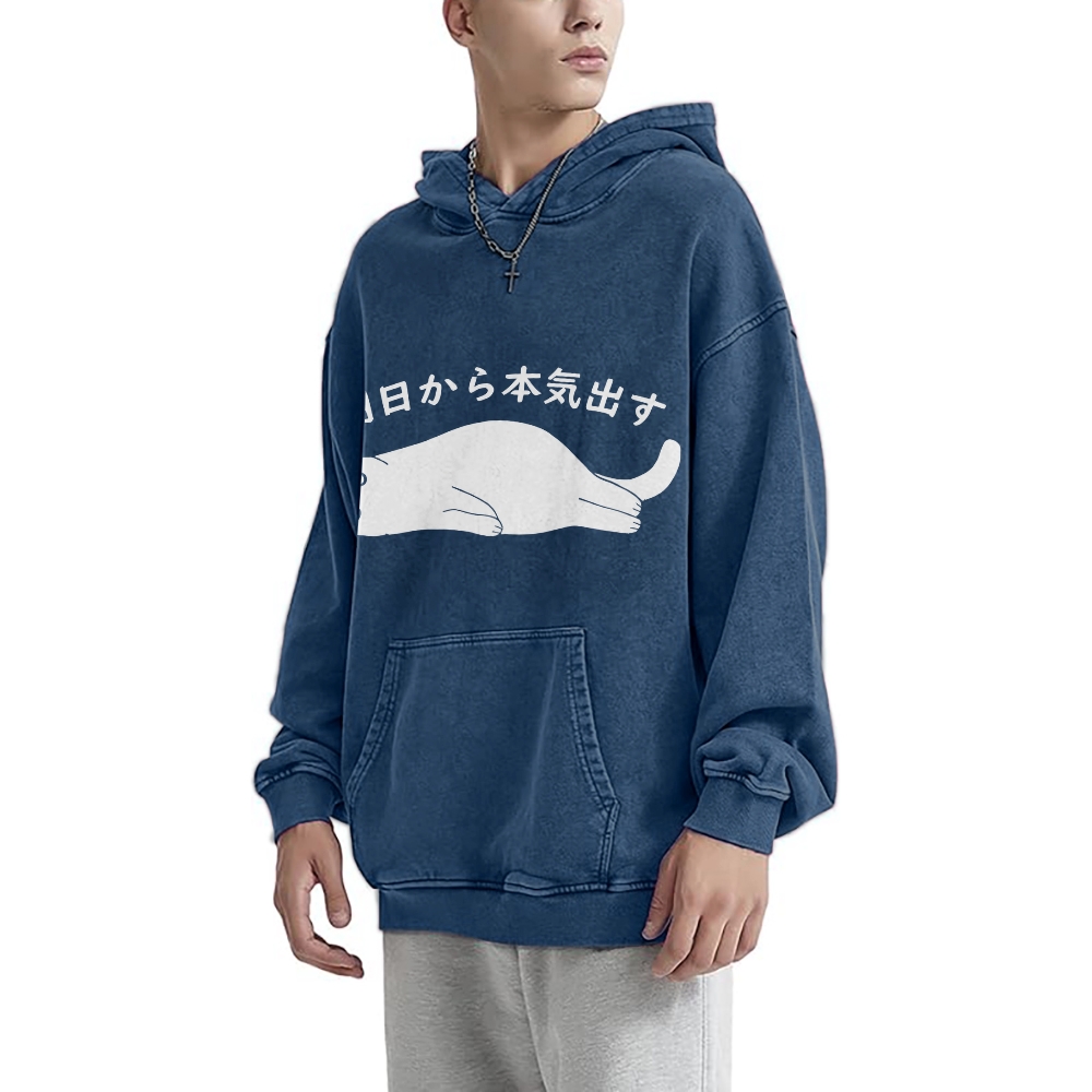 I'm Going To Get Serious Tomorrow Washed Hoodie