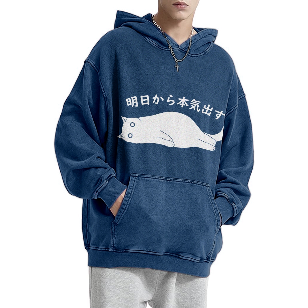 I'm Going To Get Serious Tomorrow Washed Hoodie