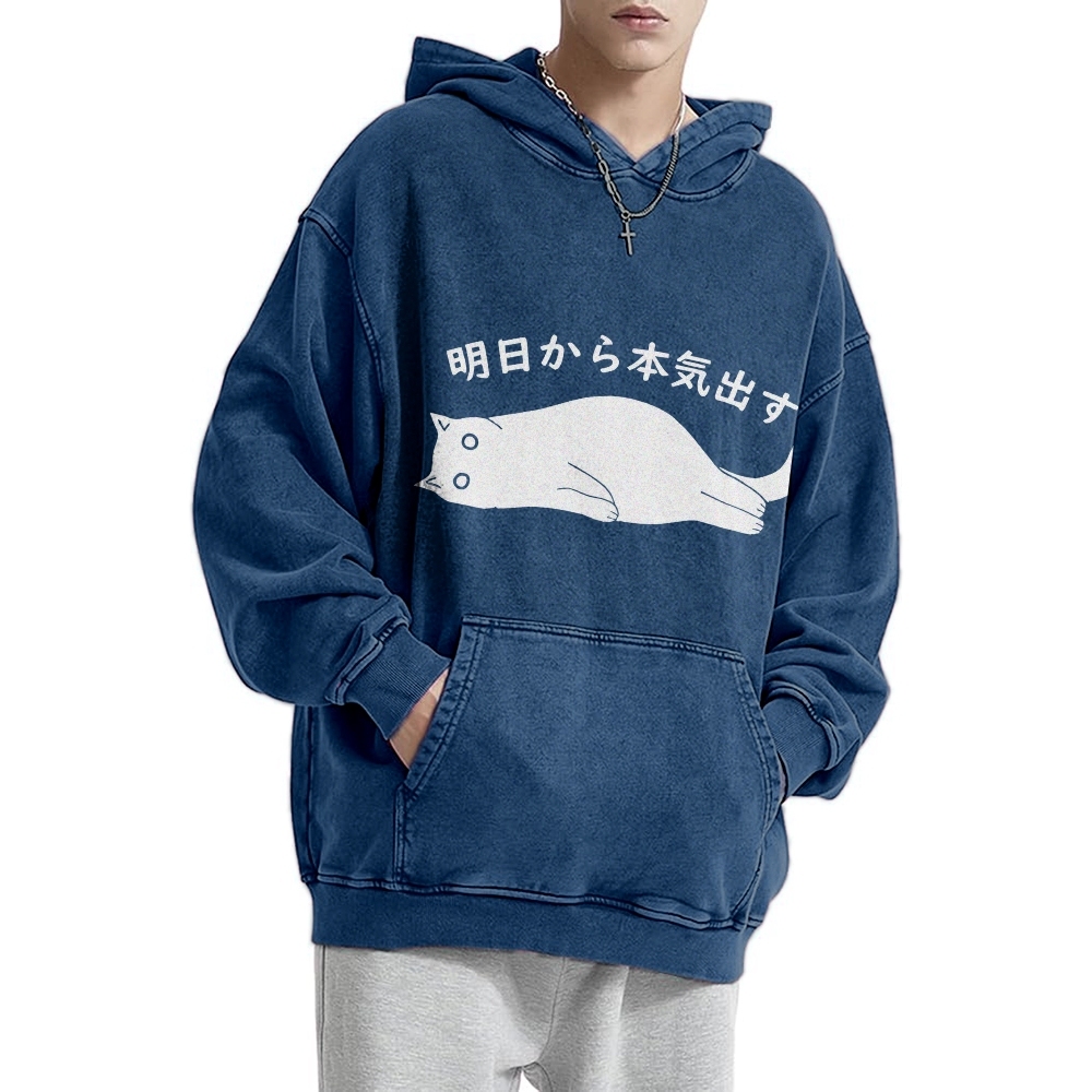 I'm Going To Get Serious Tomorrow Washed Hoodie