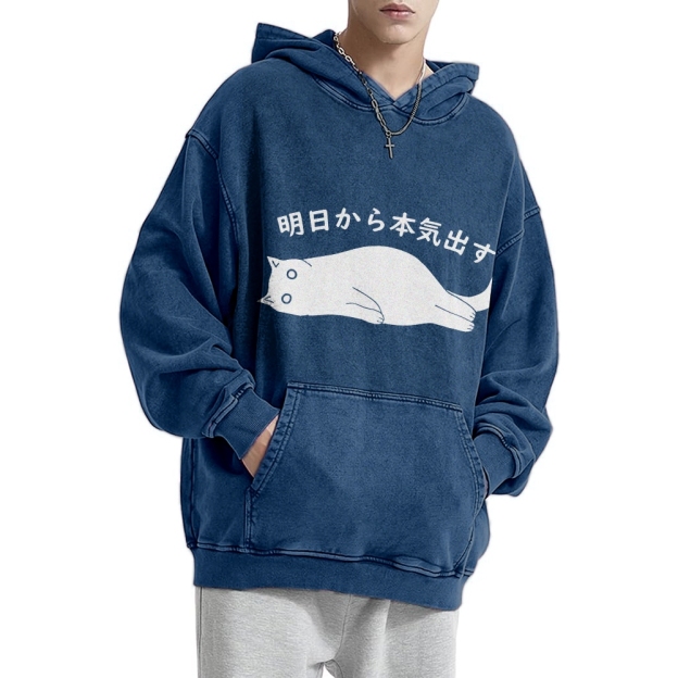 I'm Going To Get Serious Tomorrow Washed Hoodie