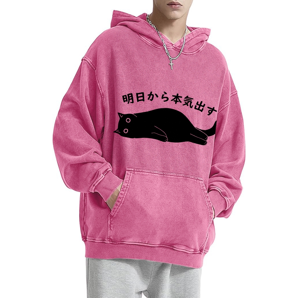 I'm Going To Get Serious Tomorrow Washed Hoodie