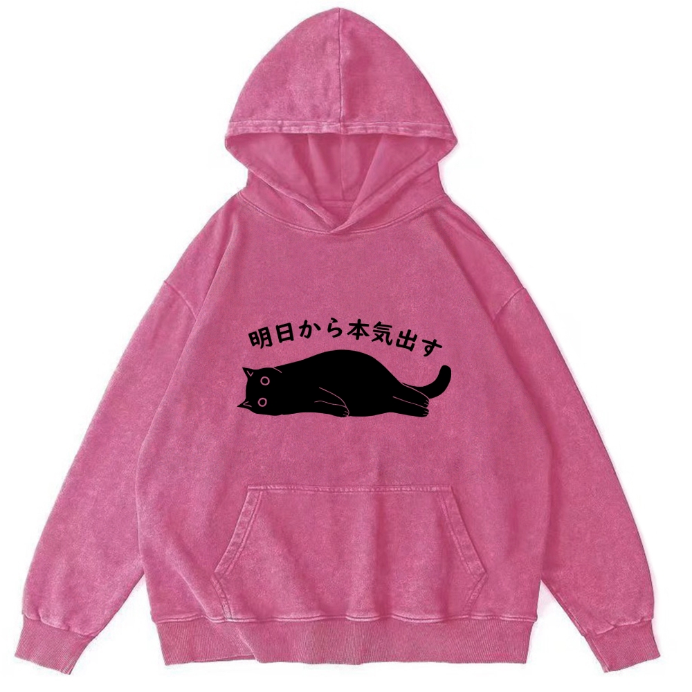 I'm Going To Get Serious Tomorrow Washed Hoodie