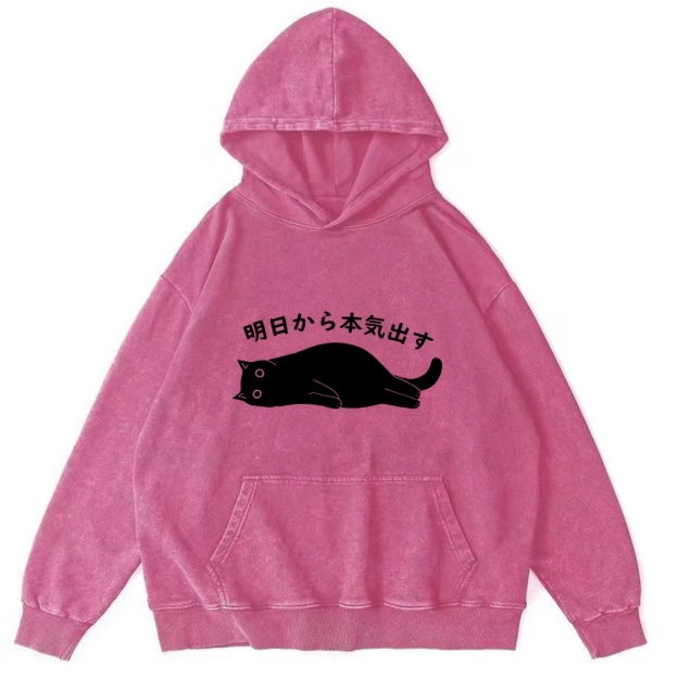 I'm Going To Get Serious Tomorrow Washed Hoodie