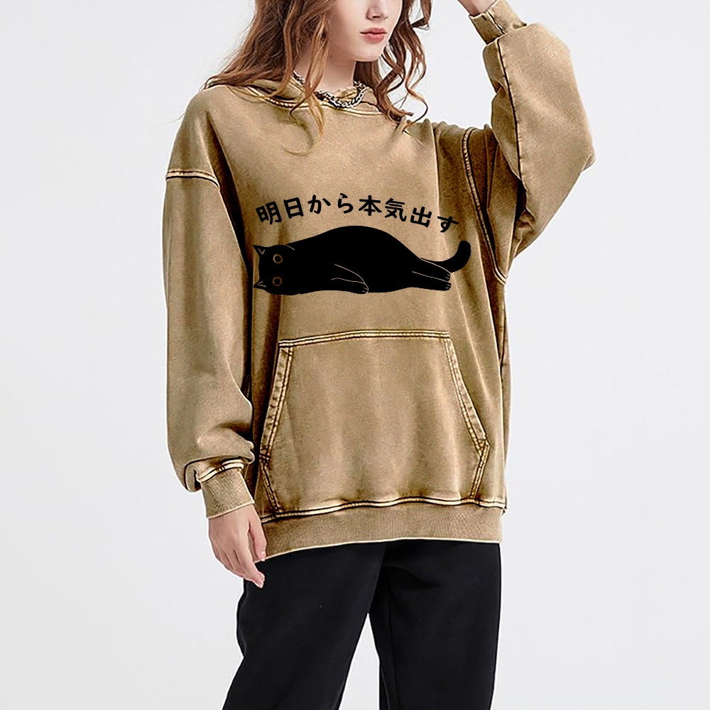 I'm Going To Get Serious Tomorrow Washed Hoodie