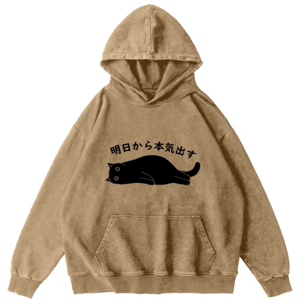 I'm Going To Get Serious Tomorrow Washed Hoodie