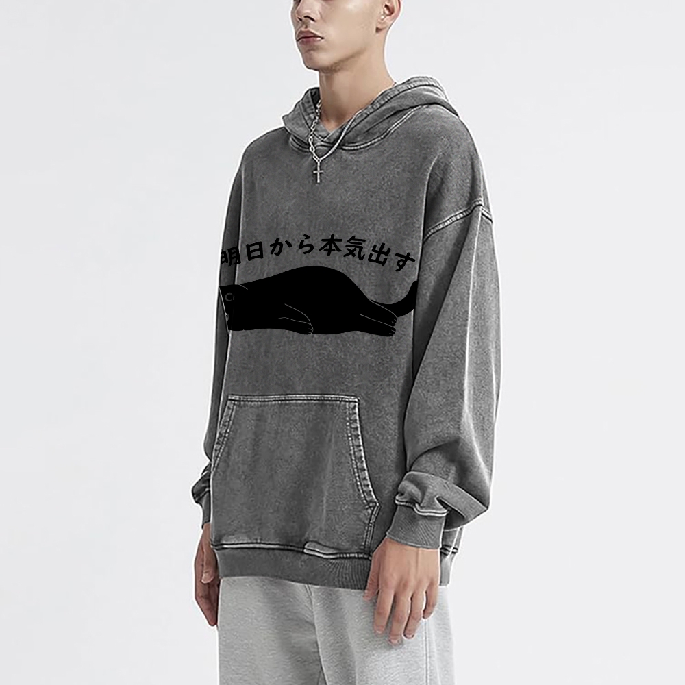 I'm Going To Get Serious Tomorrow Washed Hoodie