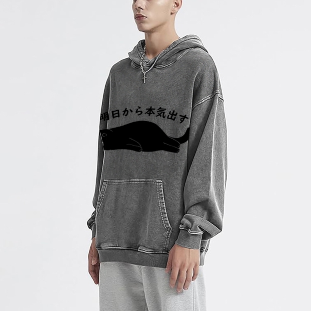 I'm Going To Get Serious Tomorrow Washed Hoodie