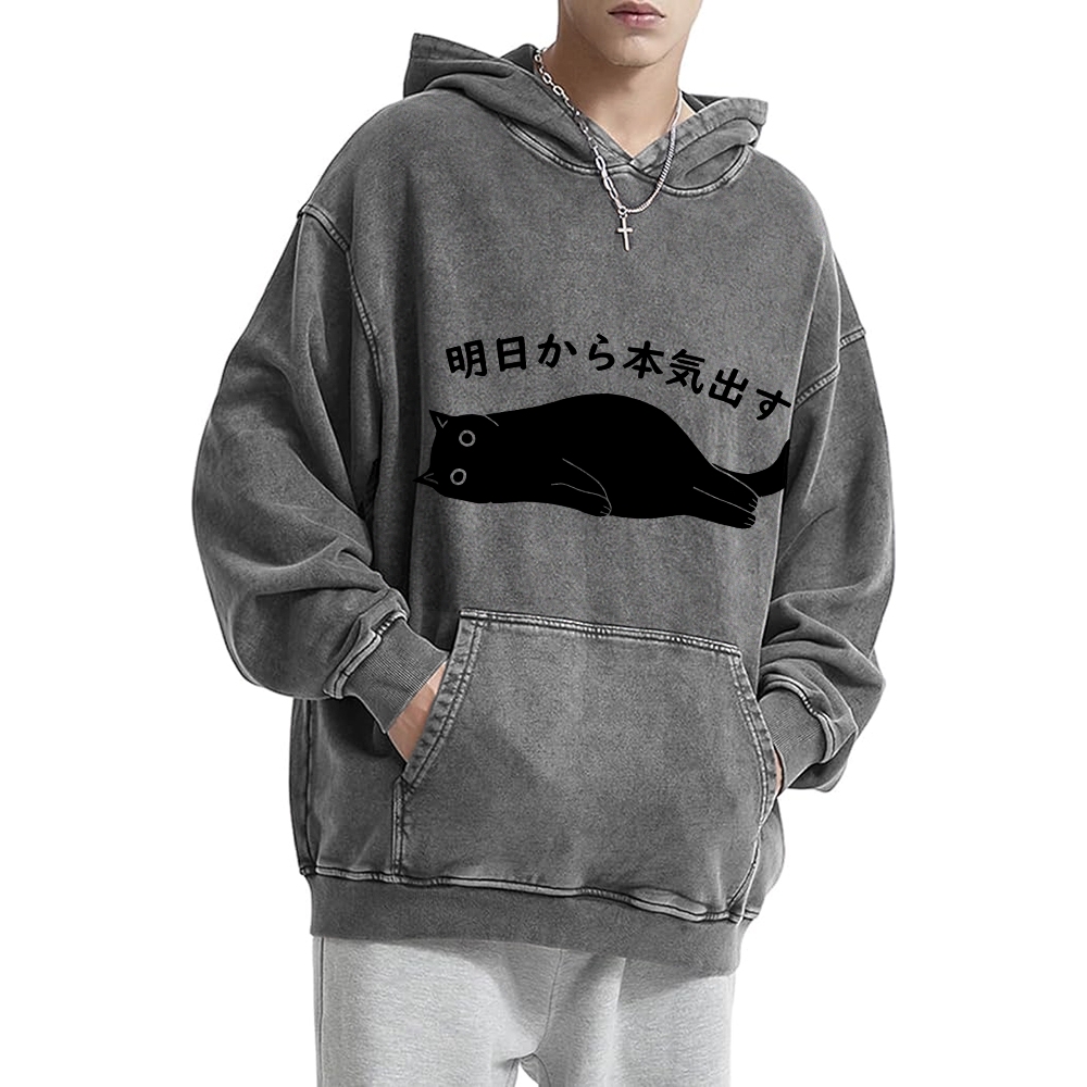 I'm Going To Get Serious Tomorrow Washed Hoodie