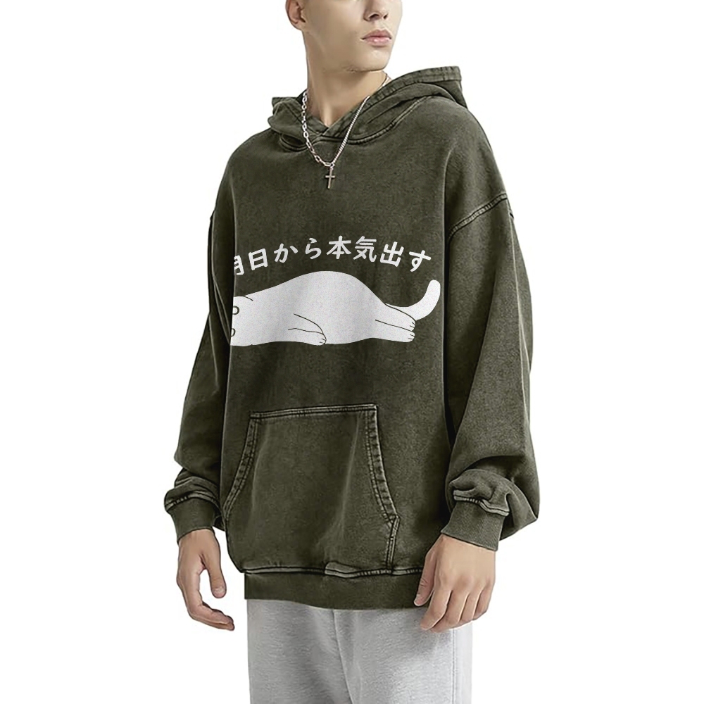 I'm Going To Get Serious Tomorrow Washed Hoodie