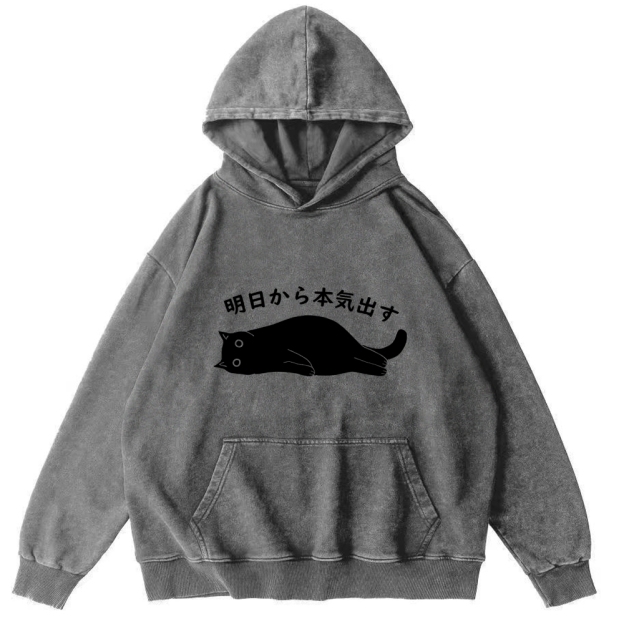 I'm Going To Get Serious Tomorrow Washed Hoodie