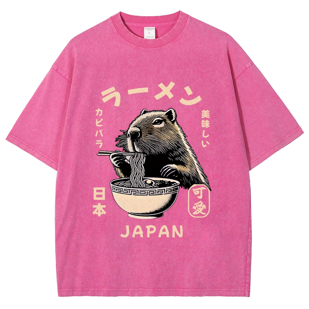Retro Capybara Eating Ramen Japanese Washed T-Shirt