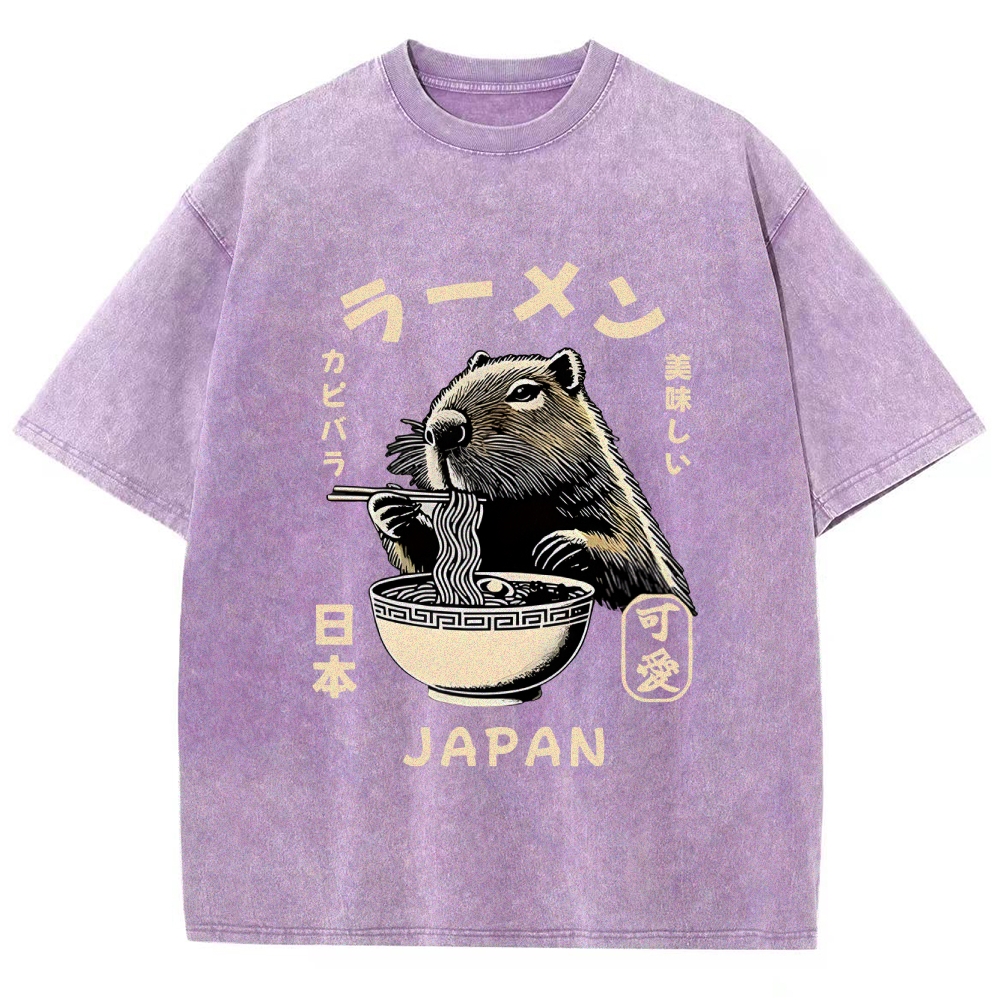 Retro Capybara Eating Ramen Japanese Washed T-Shirt