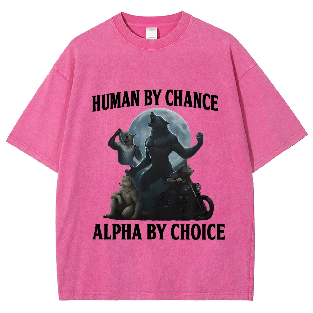 Human by Chance Washed T-Shirt
