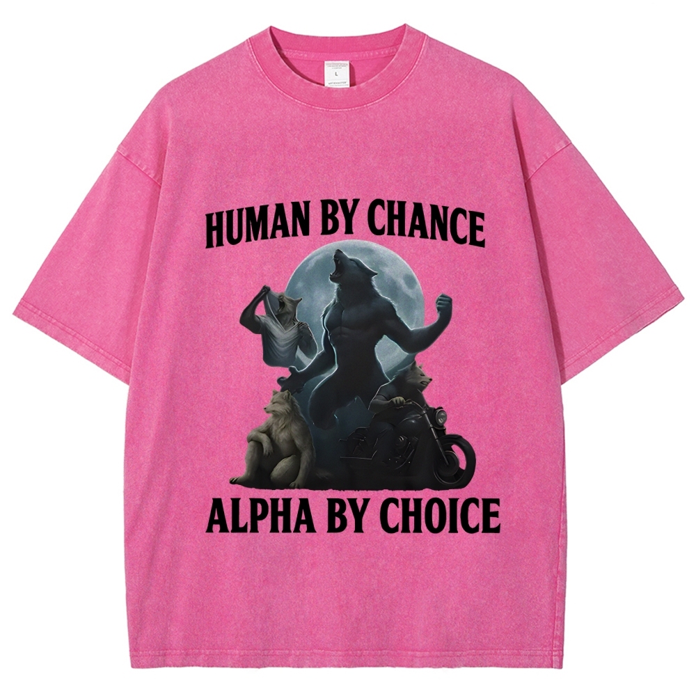 Human by Chance Washed T-Shirt