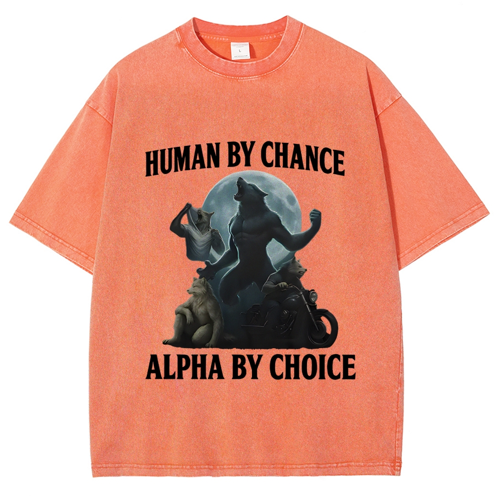 Human by Chance Washed T-Shirt