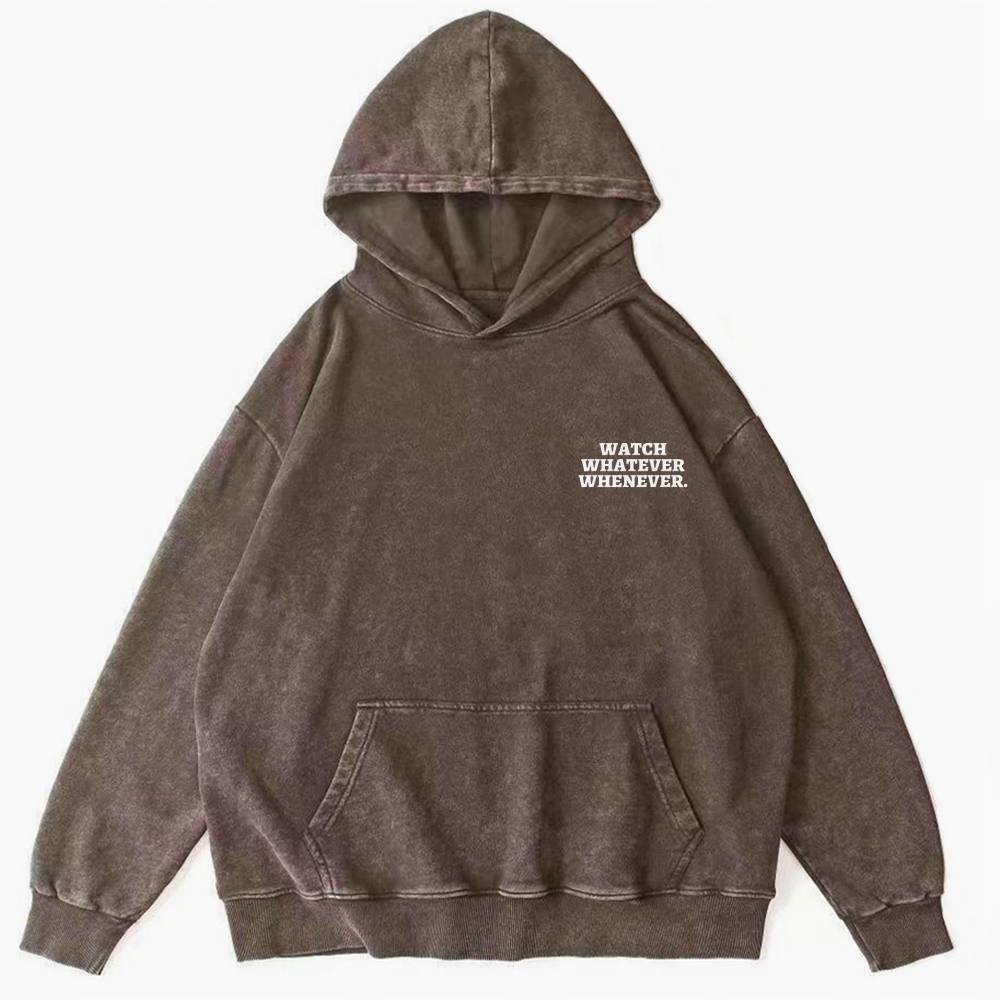 Sony Betamax Vintage Washed Cotton Back Art Hoodie