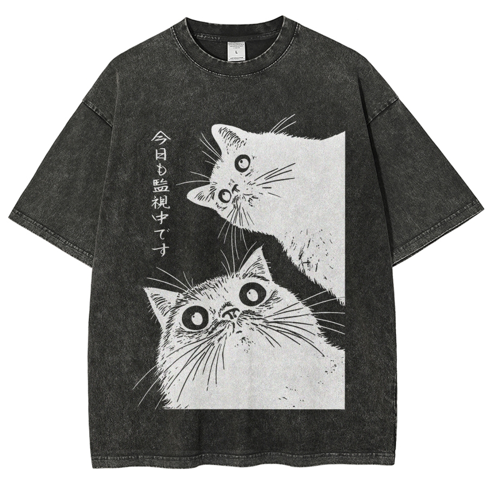 The Cat is Watching Today Washed T-Shirt