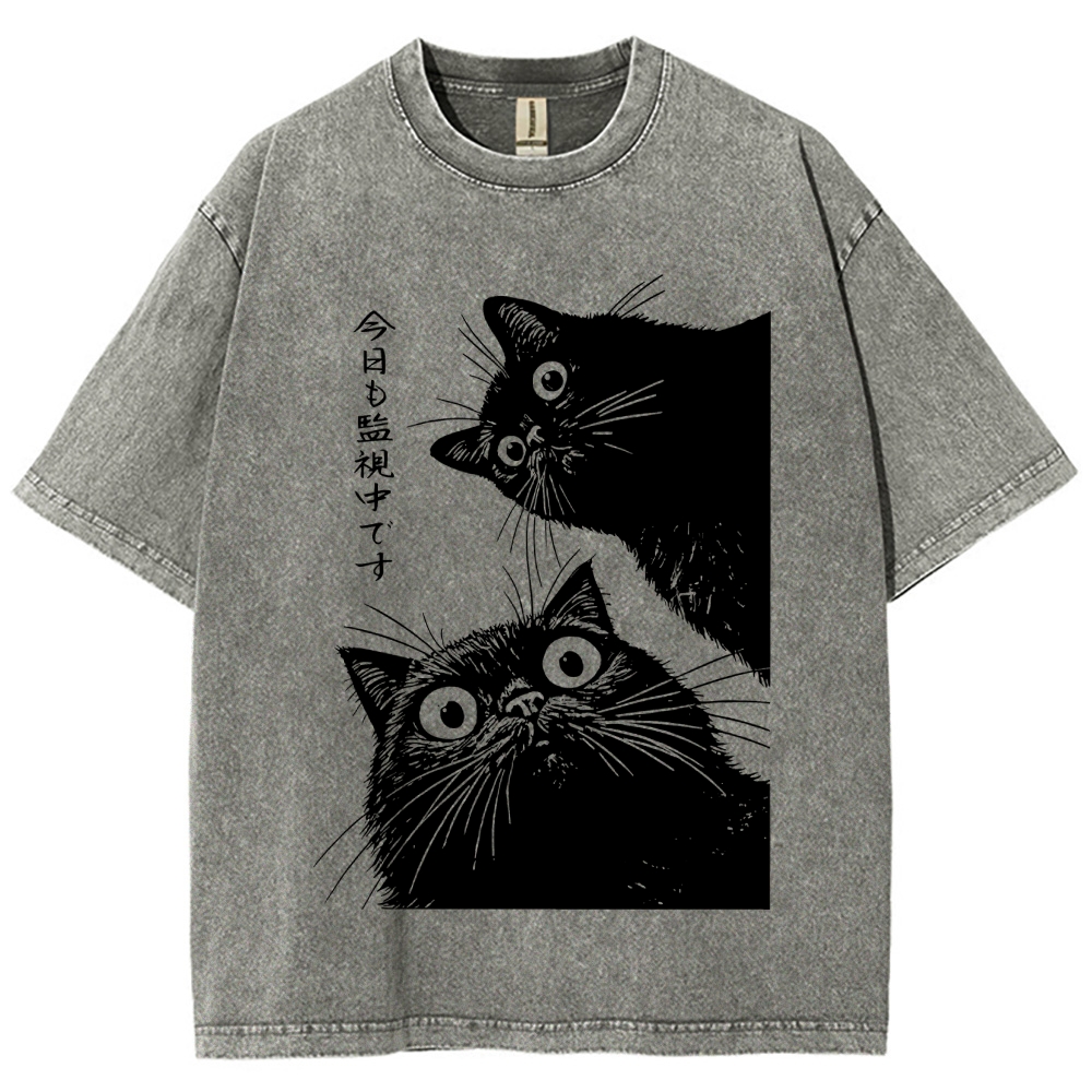 The Cat is Watching Today Washed T-Shirt