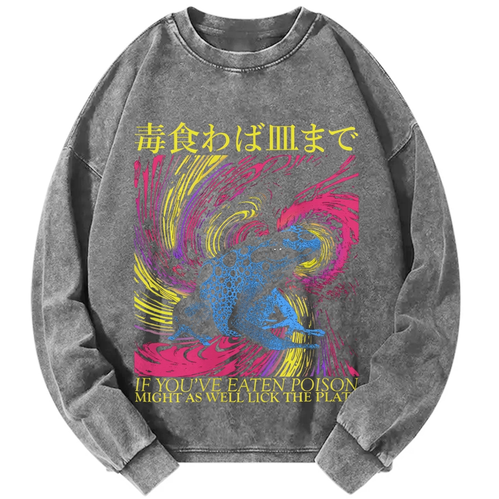 Unisex Frog Japanese Proverb Art Vintage Washed Sweatshirts