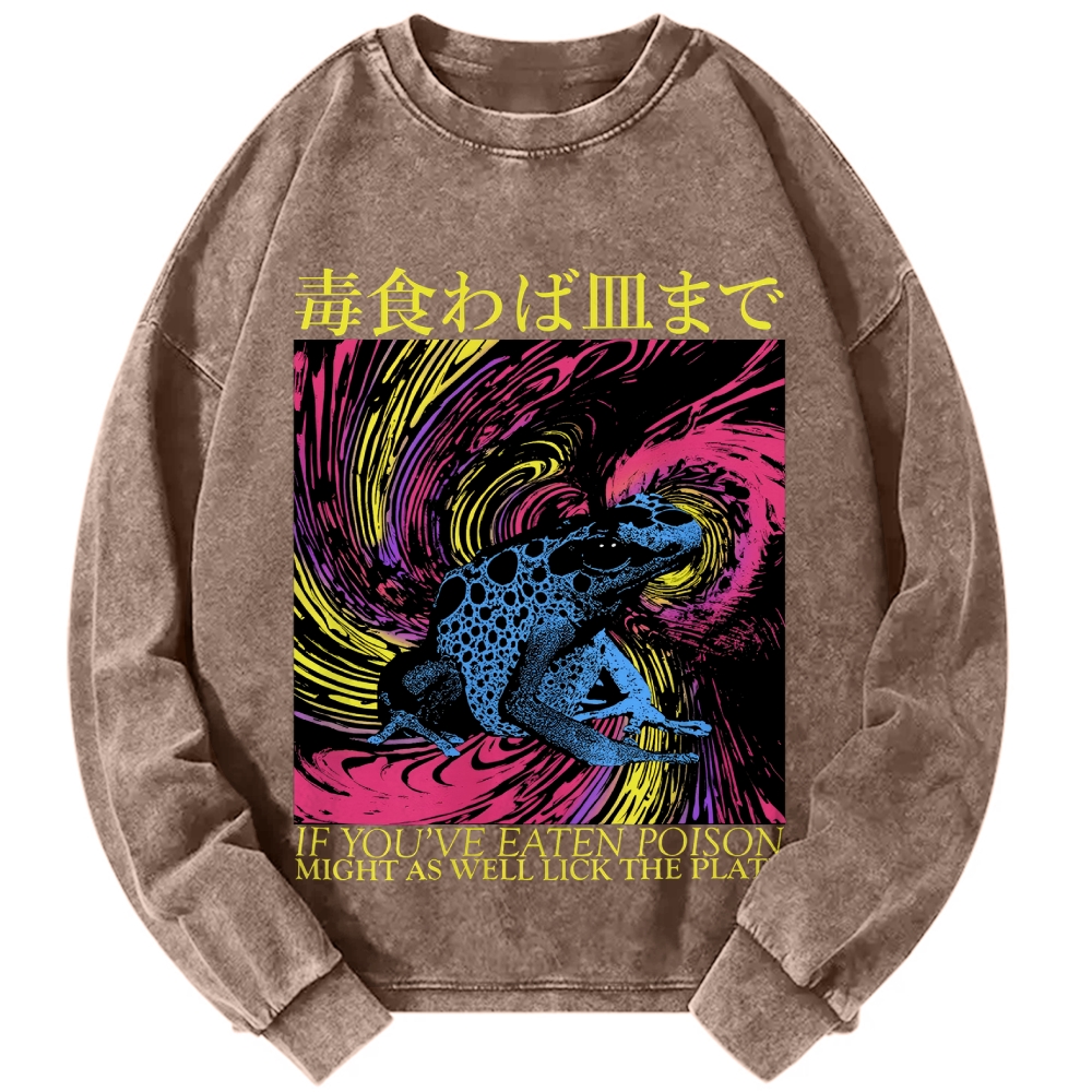 Unisex Frog Japanese Proverb Art Vintage Washed Sweatshirts