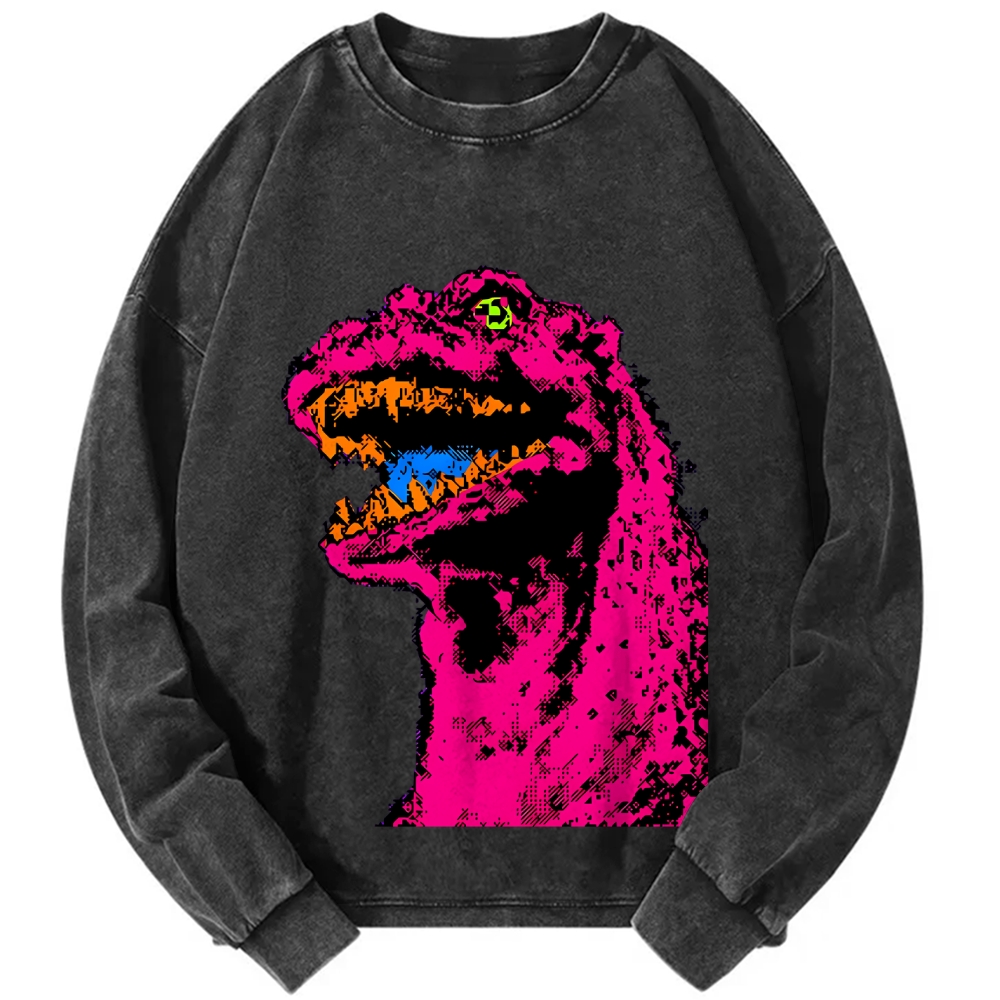 Unisex Neon Roar Vintage Washed Sweatshirts