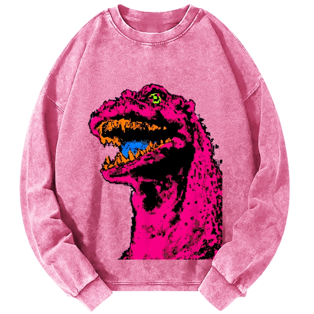 Unisex Neon Roar Vintage Washed Sweatshirts