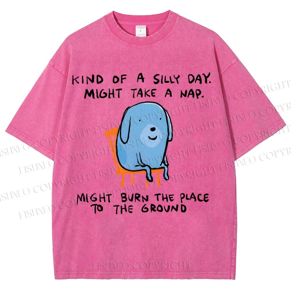 Unisex Kind Of A Silly Day Gog Printed Washed Tee