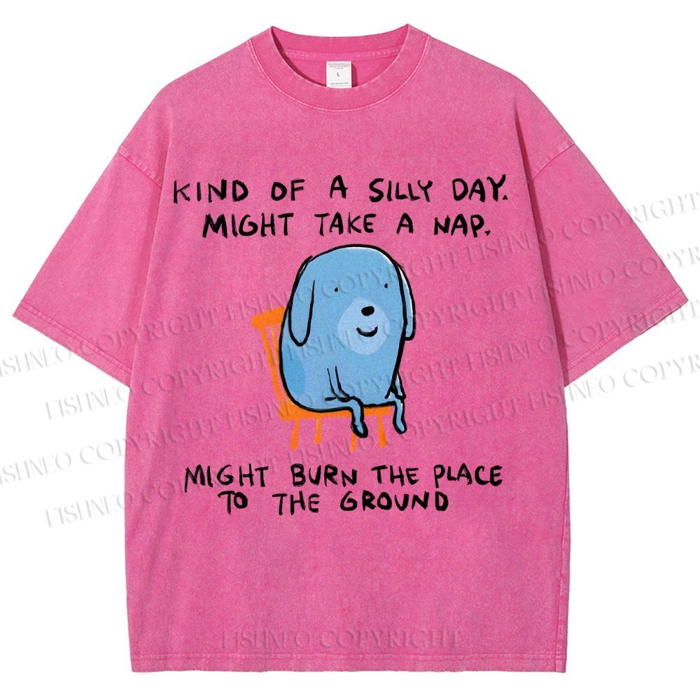 Unisex Kind Of A Silly Day Gog Printed Washed Tee