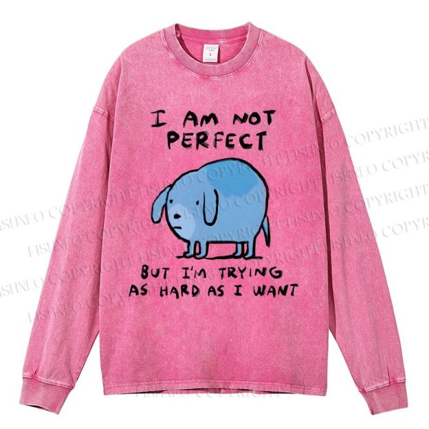 Unisex Casual Washed  I Am Not Perfect Dog Printed Long Sleeve T-shirt