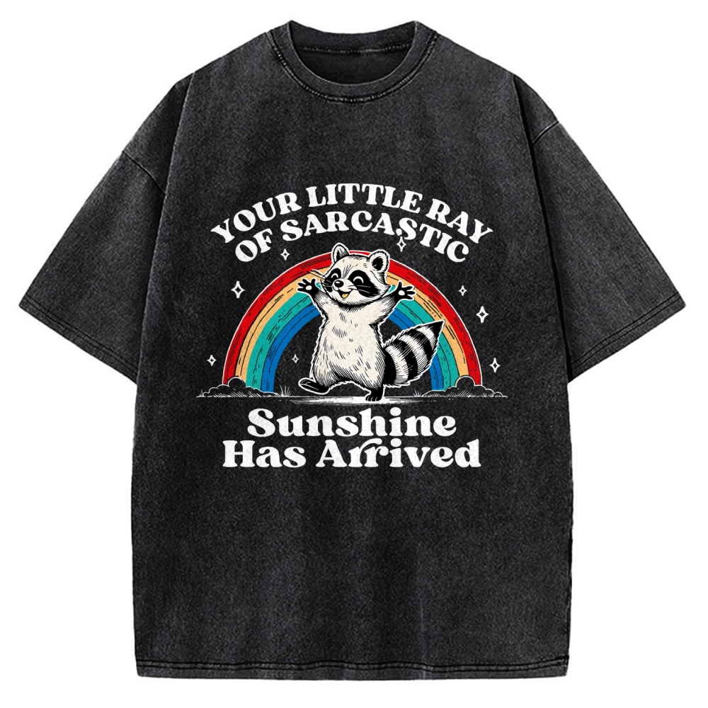 Your Little Ray of Sarcastic Sunshine Has Arrived Vintage Washed T-shirt