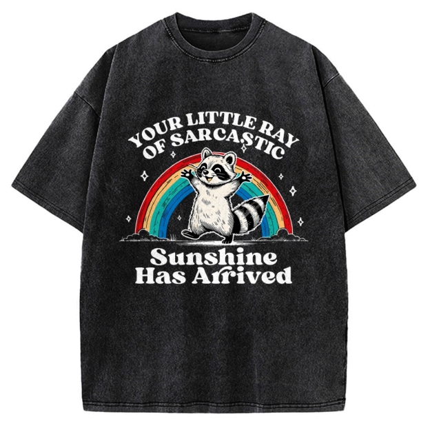 Your Little Ray of Sarcastic Sunshine Has Arrived Vintage Washed T-shirt