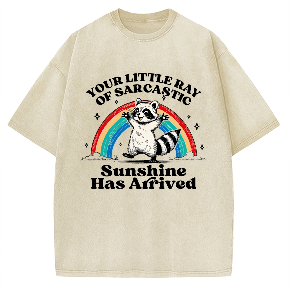 Your Little Ray of Sarcastic Sunshine Has Arrived Vintage Washed T-shirt