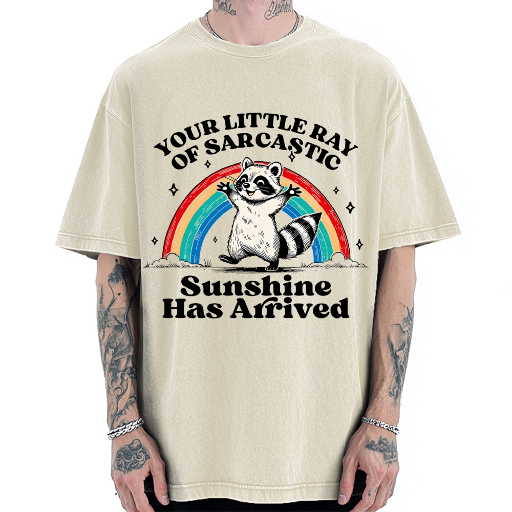 Your Little Ray of Sarcastic Sunshine Has Arrived Vintage Washed T-shirt