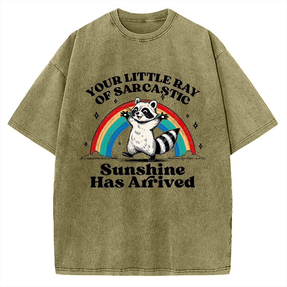 Your Little Ray of Sarcastic Sunshine Has Arrived Vintage Washed T-shirt