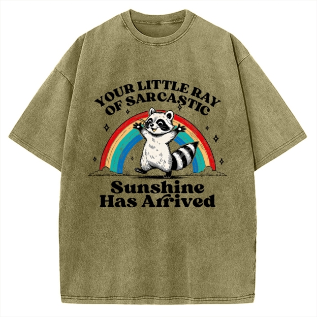 Your Little Ray of Sarcastic Sunshine Has Arrived Vintage Washed T-shirt