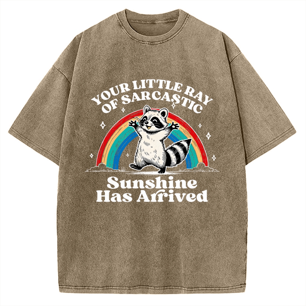 Your Little Ray of Sarcastic Sunshine Has Arrived Vintage Washed T-shirt